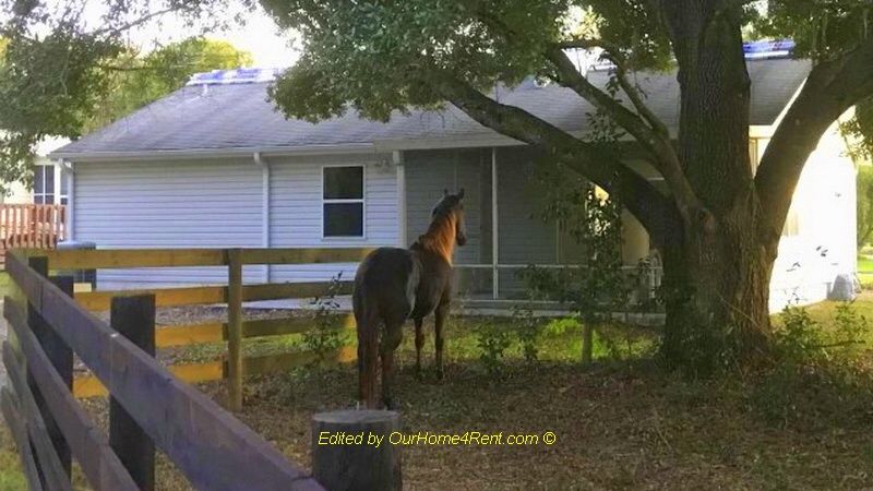 uploads/property/6564/6564_f1209dba159b46808c04d5ff59f56d96.jpg